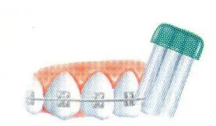 Como escovar os dentes